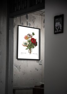 Plakat w stylu retro Kwiatowy nadruk anomonu