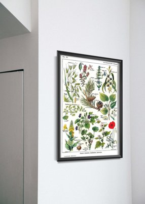 Plakat retro do salonu Calmin Plants Science 1912