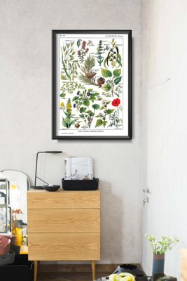 Plakat retro do salonu Calmin Plants Science 1912