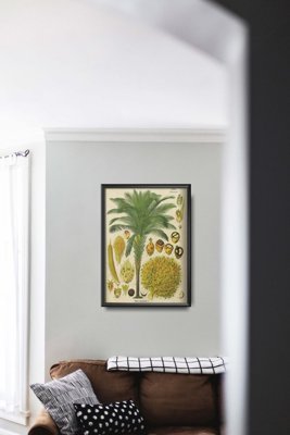 Plakatyw stylu retro Plakat botaniczny z palmy kokosowej