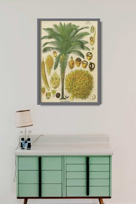 Plakatyw stylu retro Plakat botaniczny z palmy kokosowej