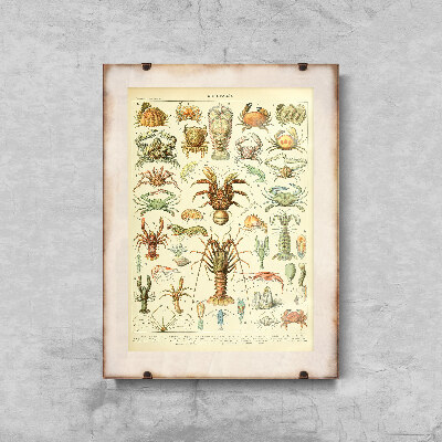 Plakat do pokoju 1909 Crustaces Adolphe Millot