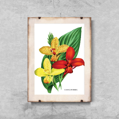 Plakat vintage Kwiaty 1957