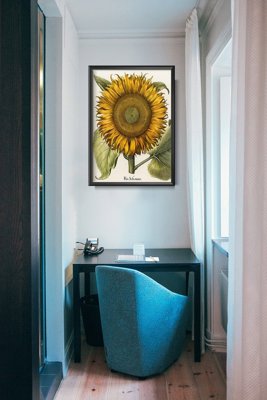 Plakat w stylu retro Botaniczny nadruk słonecznika