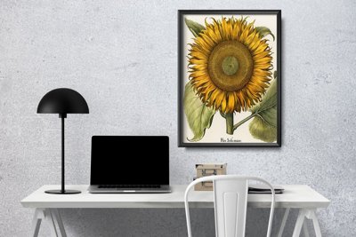 Plakat w stylu retro Botaniczny nadruk słonecznika