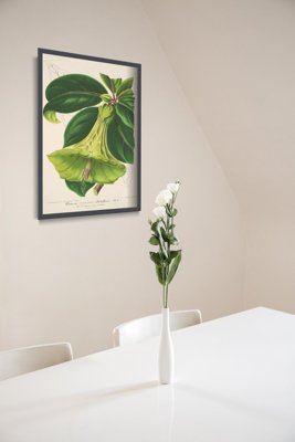 Plakat retro do salonu 1957 Devil Trumpets Floral