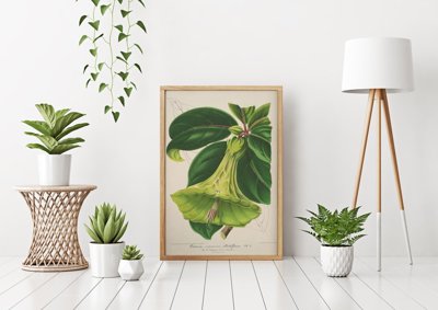 Plakat retro do salonu 1957 Devil Trumpets Floral