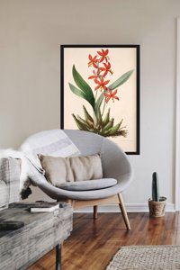 Plakat vintage do salonu Kwiatowy nadruk Epidendrum Vitellinum