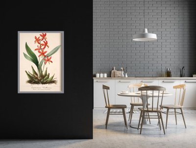 Plakat vintage do salonu Kwiatowy nadruk Epidendrum Vitellinum