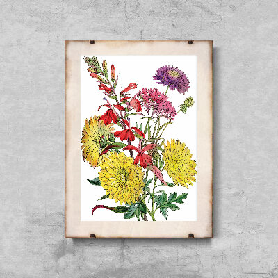 Plakat na ścianę Nadruk kwiatu jesieni