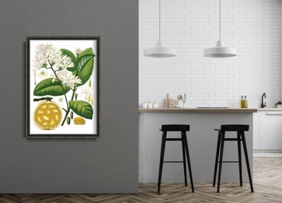 Plakat w stylu retro Landolphia