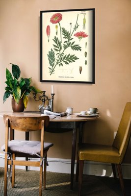 Plakatyw stylu retro Aster z nadrukiem botanicznym