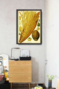 Plakat do pokoju Palma kokosowa