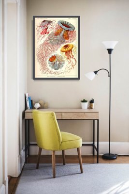Plakat retro Meduzy Haeckel Ernst