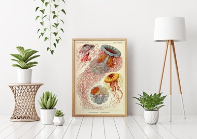 Plakat retro Meduzy Haeckel Ernst