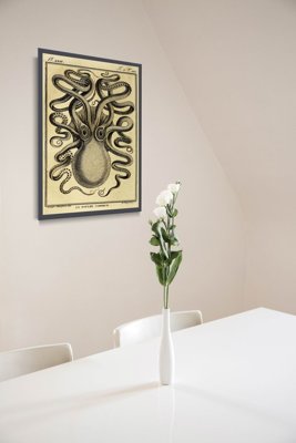 Plakat vintage Ośmiornica Haeckel Ernst