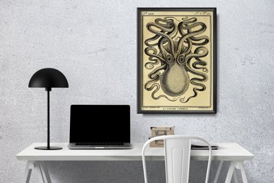 Plakat vintage Ośmiornica Haeckel Ernst