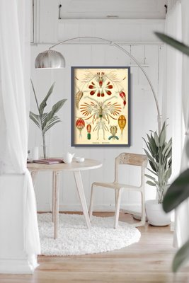 Plakatyw stylu retro Marine Copeoda Ernst Haeckel