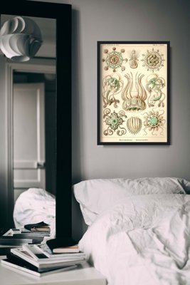 Plakat retro Meduza Ernst Haeckel