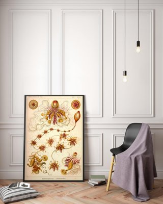Retro plakat Siphonophorae Ernst Haeckel