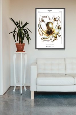 Plakat w stylu vintage Ośmiornice głowonogi