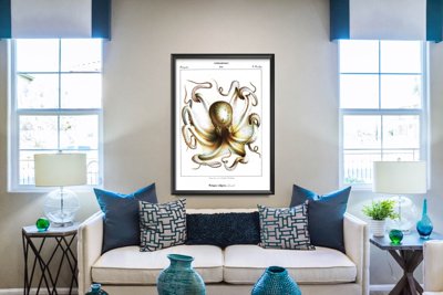 Plakat w stylu vintage Ośmiornice głowonogi