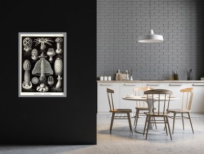 Plakat retro do salonu Grzyby morskie Ernst Haeckel