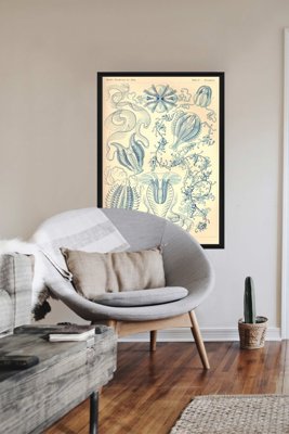 Plakat vintage do salonu Ctenohorae Ernst Haeckel