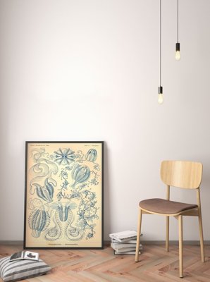 Plakat vintage do salonu Ctenohorae Ernst Haeckel