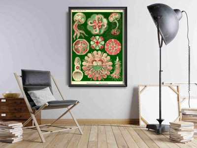Plakat na ścianę Meduza Ernst Haeckel