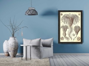 Plakat w stylu vintage Crinoidea Ernst Haeckel