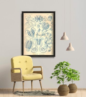 Plakat retro do salonu Ctnenophorae Ernst Haeckel