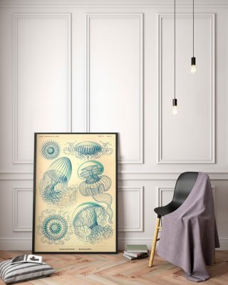 Plakat na ścianę Meduza Ernst Haeckel