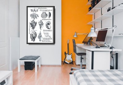 Plakat do pokoju Plakat muszli
