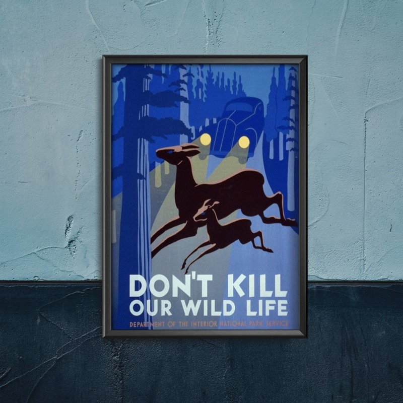 Plakat do pokoju Don't Kill Wild Life