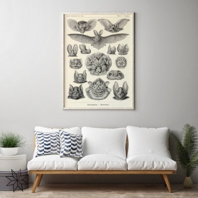 Plakat retro Nietoperz