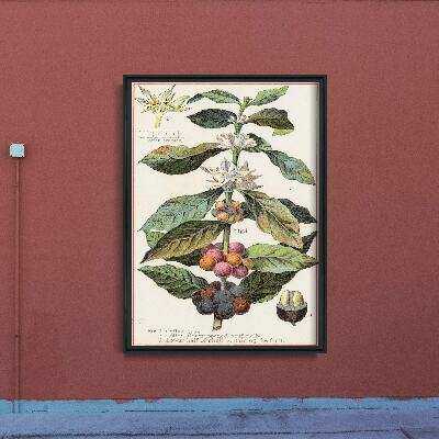 Retro plakat Kawa Arabica Nadruk kuchenny