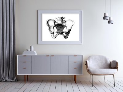 Plakat vintage do salonu Anatomiczne odciski miednicy