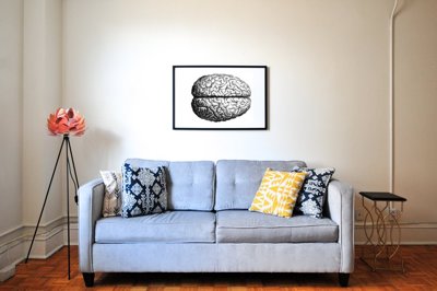 Plakat do pokoju Anatomiczny mózg
