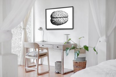 Plakat do pokoju Anatomiczny mózg