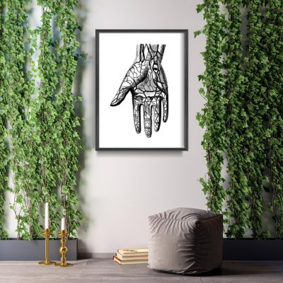 Plakat w stylu vintage Ręce anatomiczne