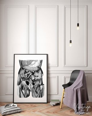 Plakat do pokoju Ilustracja narządów