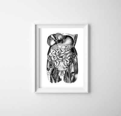 Retro plakat Anatomiczne odciski jelita