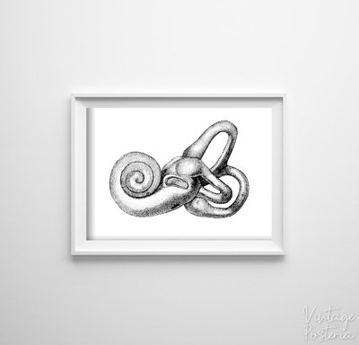Plakatyw stylu retro Wydruk anatomii