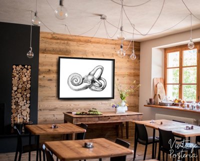 Plakatyw stylu retro Wydruk anatomii