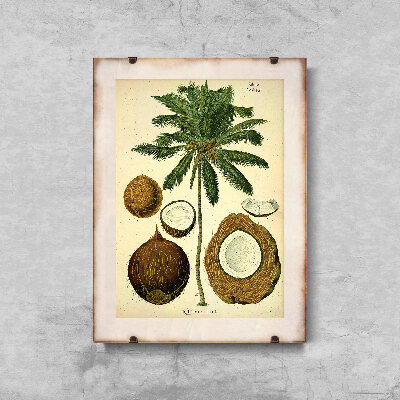Plakat w stylu vintage Botaniczny nadruk palmy kokosowej