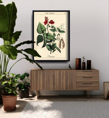 Plakat na ścianę Roślina grochu