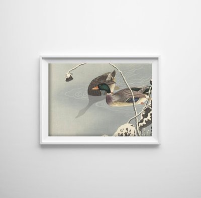 Plakat retro do salonu Dwie kaczki autorstwa Ohary Koson