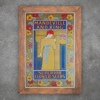 Plakat Mandeville i król Superior Nasiona kwiatów