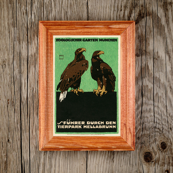 Plakat Ogrodu Zoologicznego Munchen Ptaki